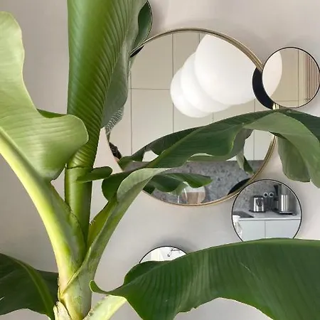 Platan Tower - White Loft Appartement *